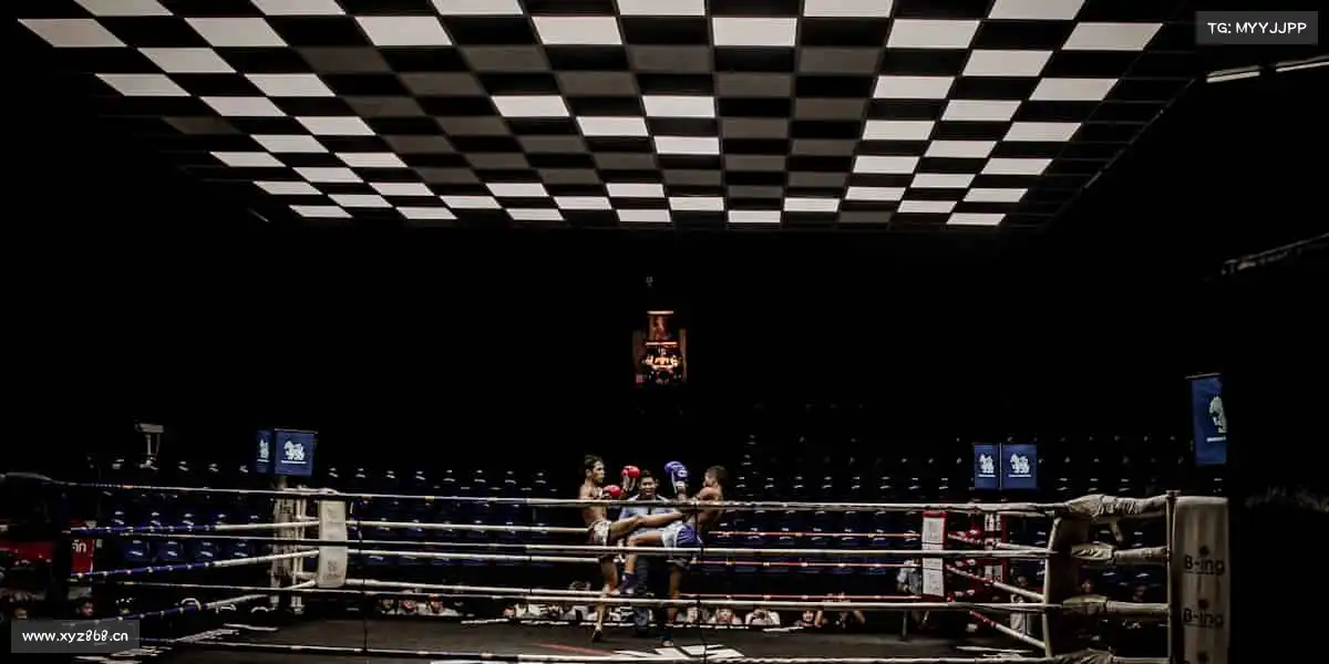 行业领先的理由